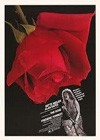The Rose (1979)3.jpg